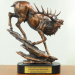 AWF Trophy