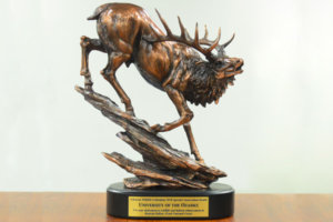 AWF Trophy