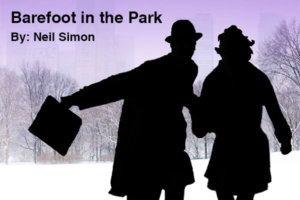 Barefoot in the Park