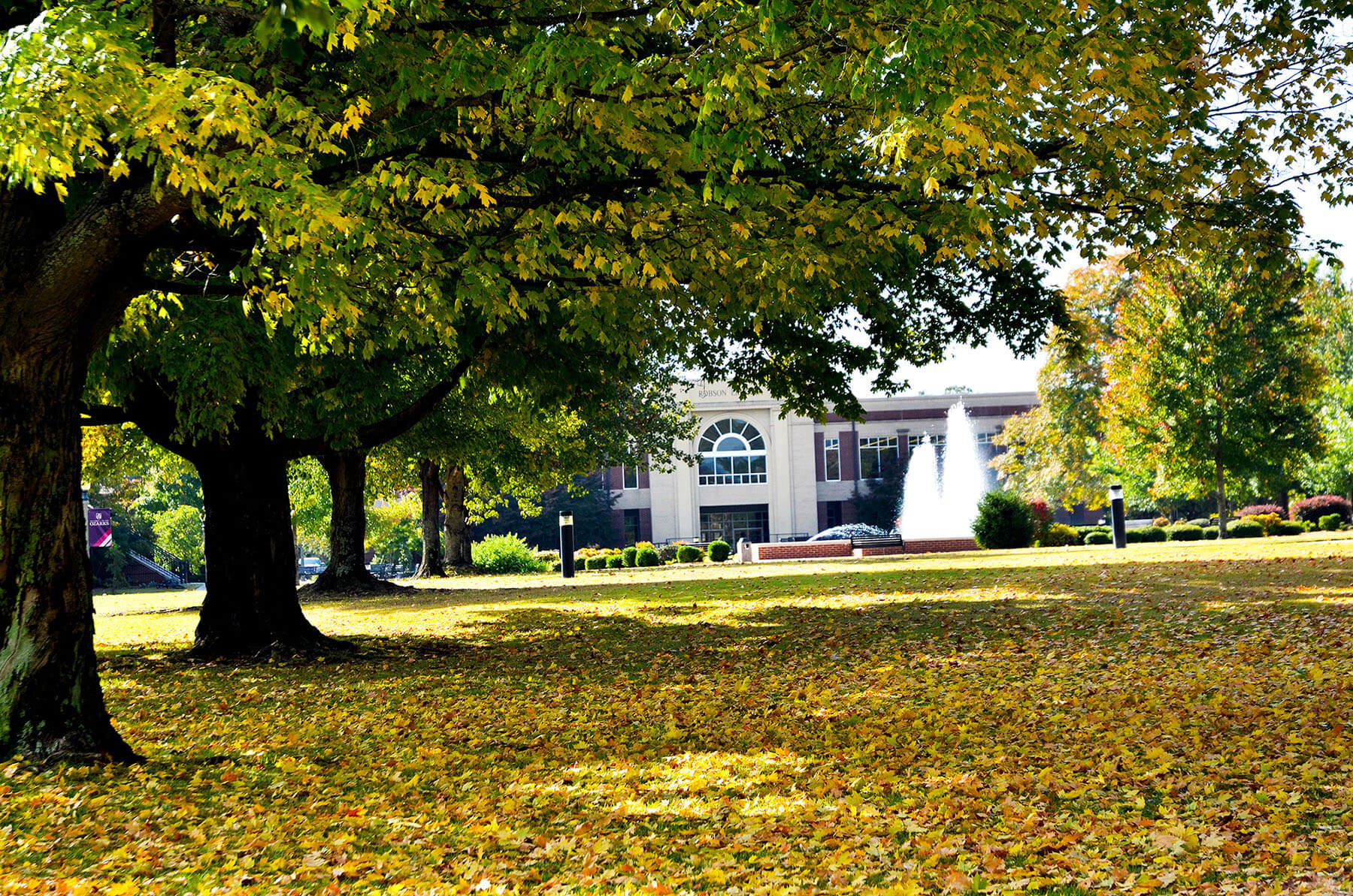 Robson Library