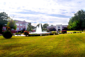 Campus in the spring