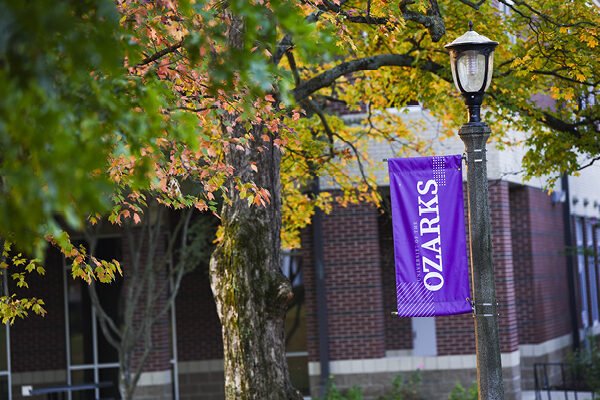 Campus banner in fall
