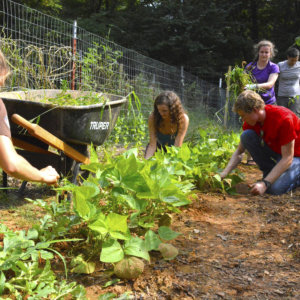 Food for Thought Garden