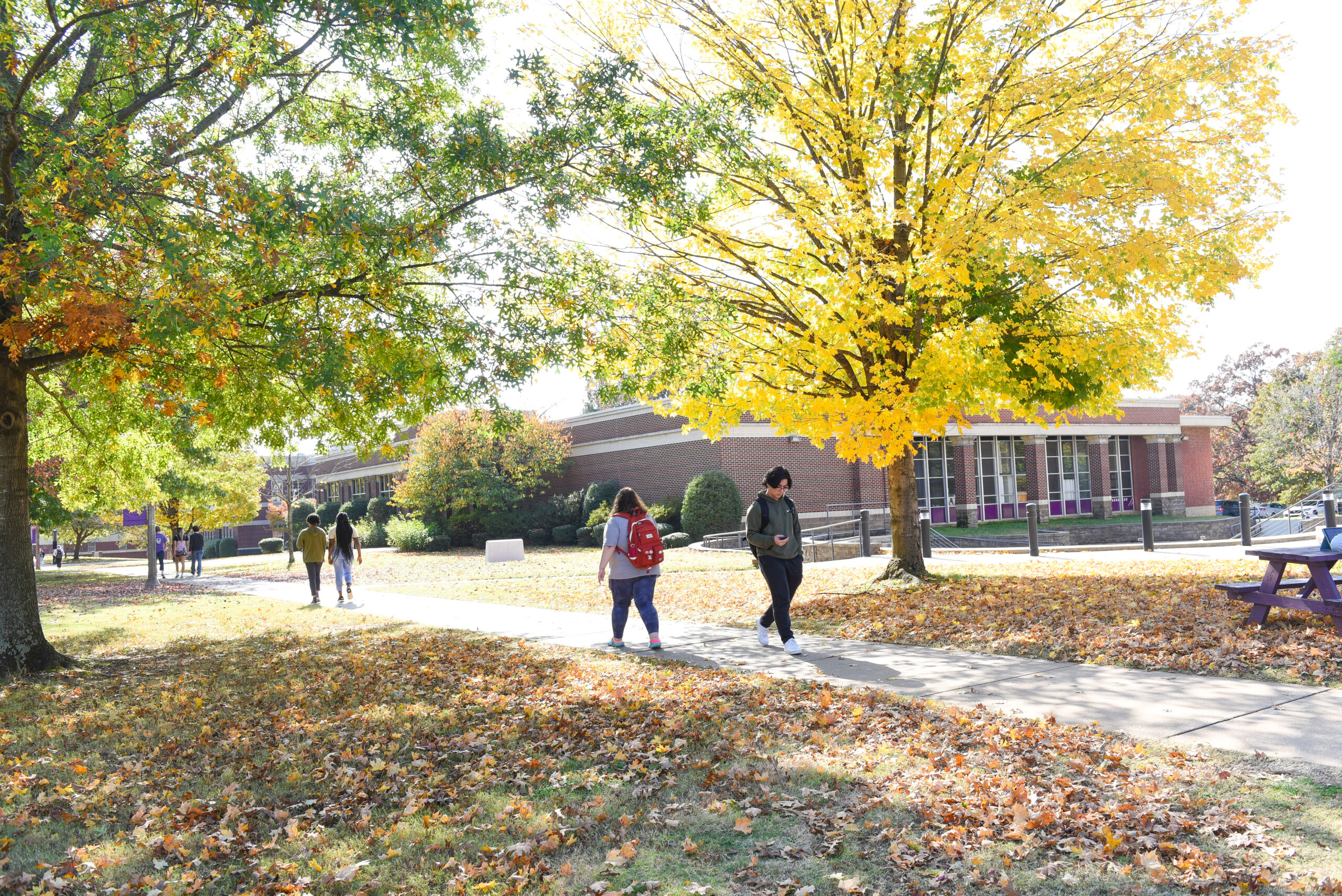 Current Students University of the Ozarks