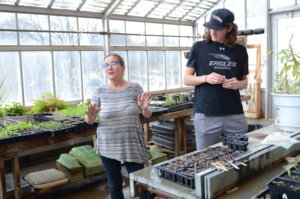 Dr Van Scoy in the greenhouse