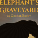 Elephant's Graveyard image