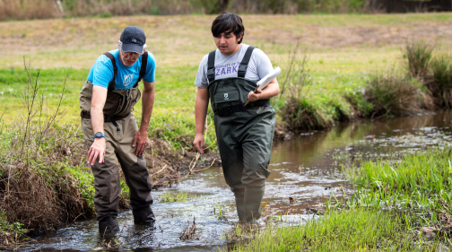 Environmental Studies Minor