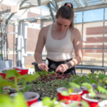 a student working on planting in the greenhouse
