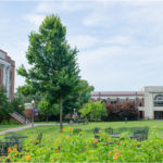 Campus Mall