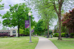 Campus in the Spring