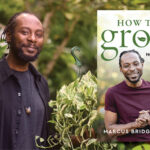 Garden Marcus